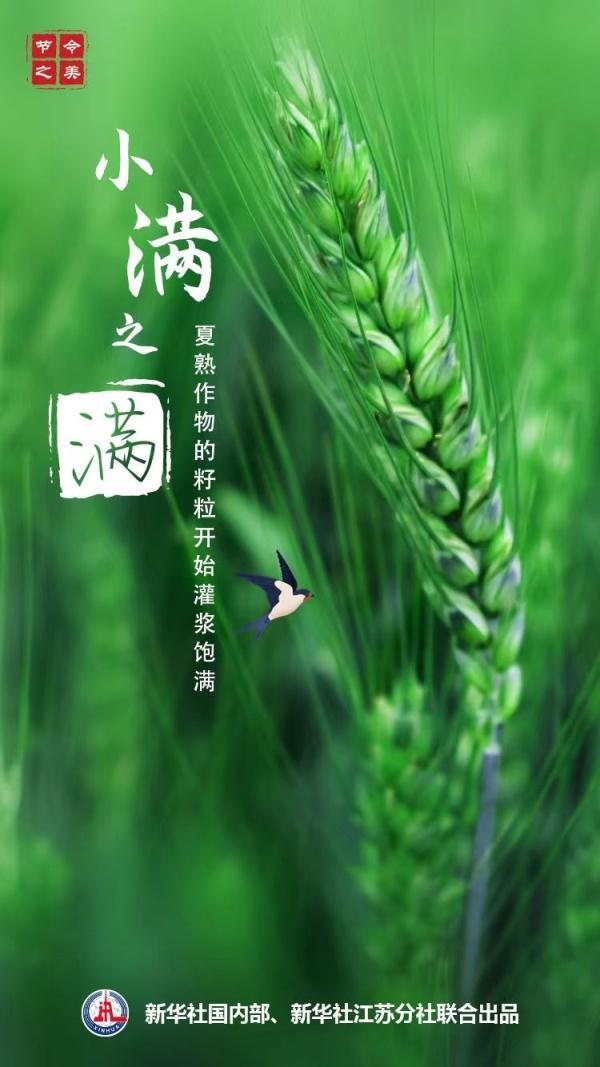 小满的“满”指的是什么？小满节气有什么特点？（小满是代表什么）