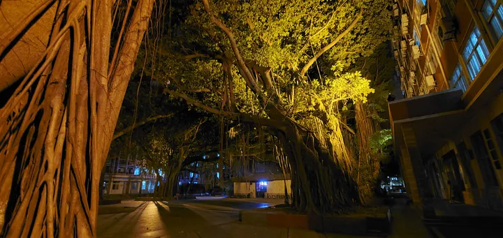 岭南师范学院怎么样？（岭南师范学院可以读研究生吗）