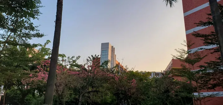 岭南师范学院怎么样？（岭南师范学院可以读研究生吗）