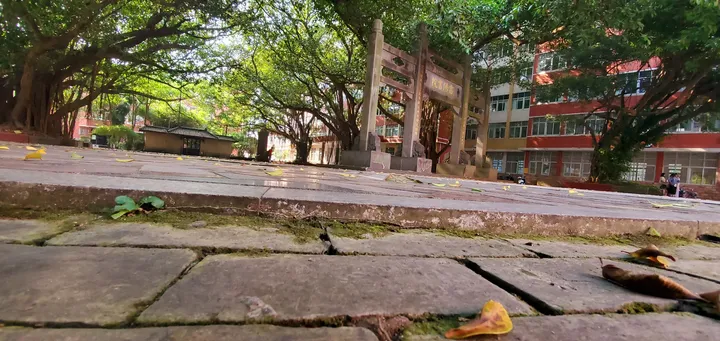 岭南师范学院怎么样？（岭南师范学院可以读研究生吗）