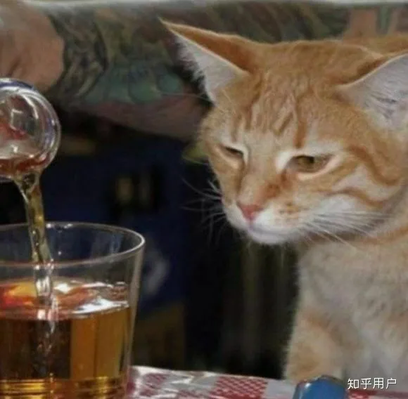 在岭南师范学院（湛江师范学院）读书是一种怎样的体验？（湛江岭南师范学院是本科还是专科）