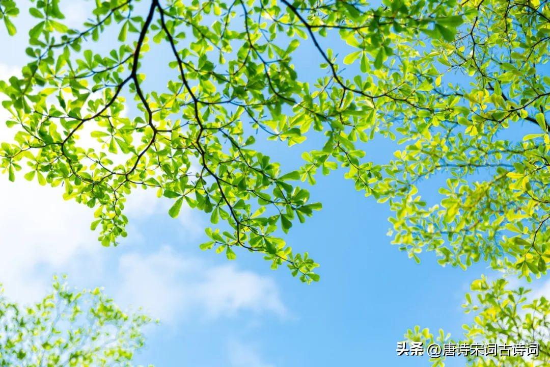 不觉间，已夏至-不觉夏已深上一句