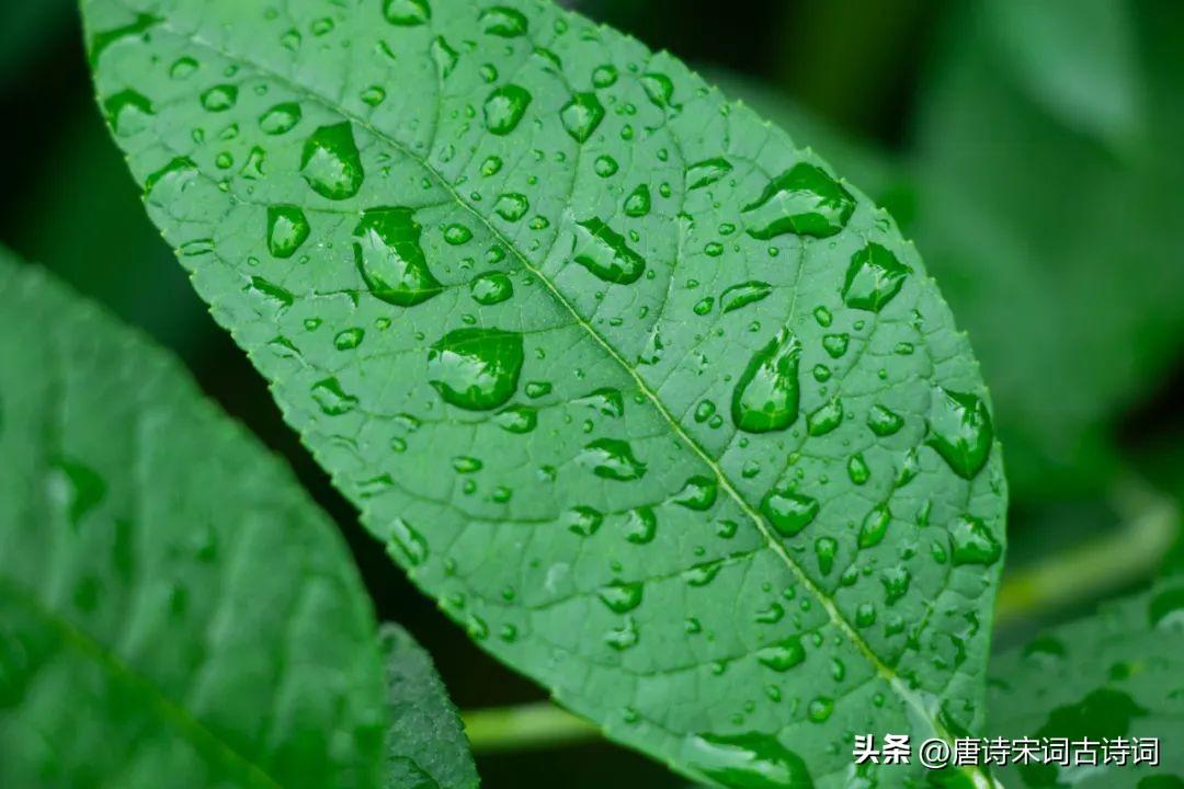 不觉间，已夏至-不觉夏已深上一句