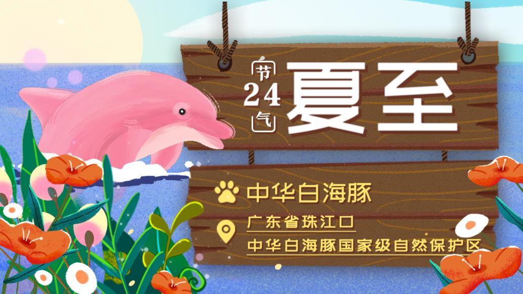 万物生长｜今日夏至-万物生长是哪个季节