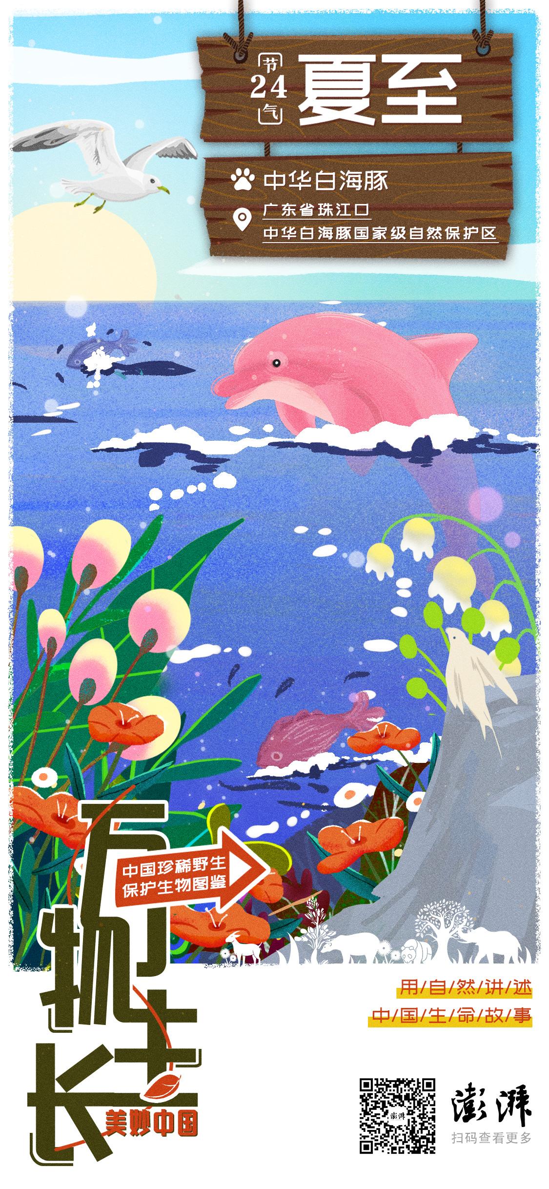 万物生长｜今日夏至-万物生长是哪个季节