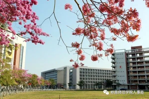 岭南师范学院诚邀优秀青年英才申报国家优青项目（海外）（岭南师范学院人才公寓）