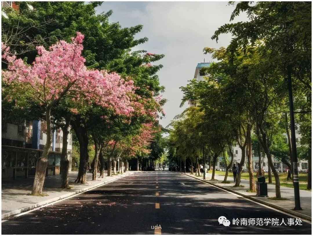 岭南师范学院诚邀优秀青年英才申报国家优青项目（海外）（岭南师范学院人才公寓）