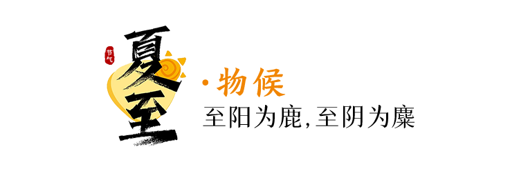 今日，夏至-今天夏至的具体时间