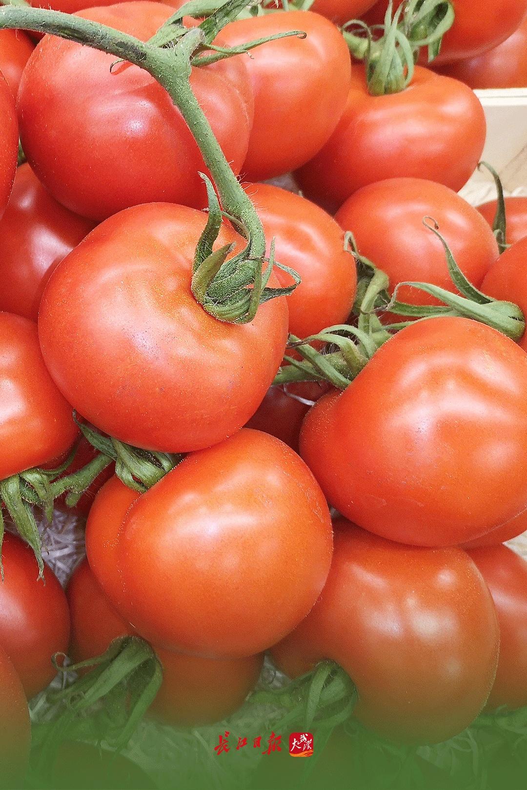 今日，夏至-今天夏至的具体时间