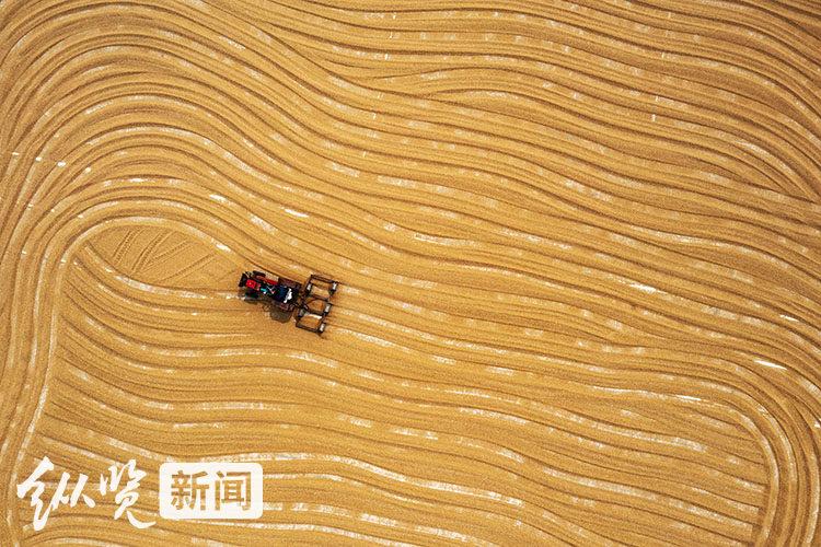 今日夏至｜ “夏九九”，你会数吗？来，趁“热”了解下-夏至九九歌儿歌视频