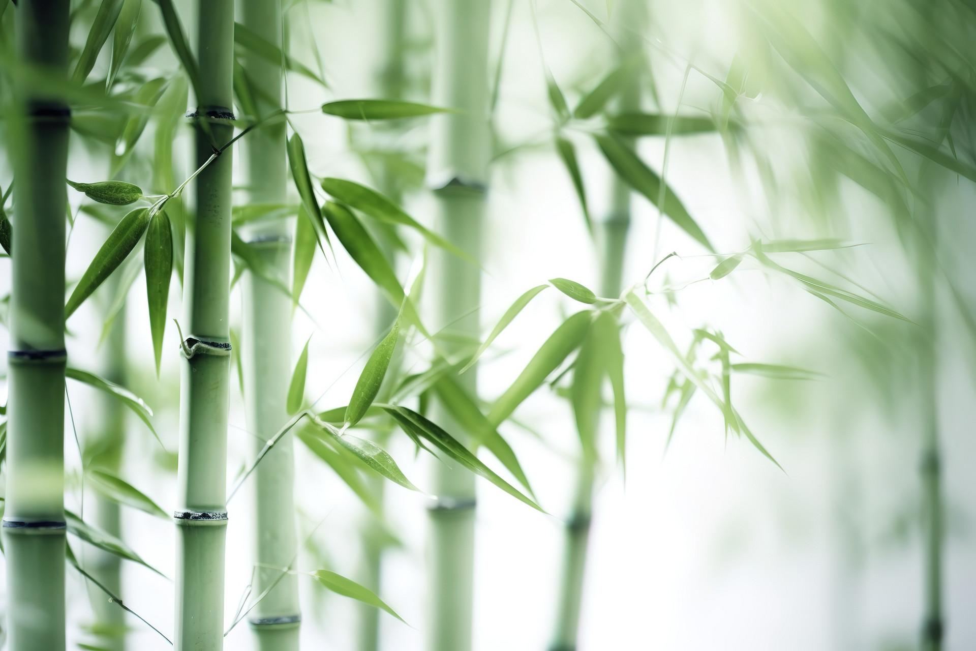 夏至：中医教您如何养护-夏至的养生方法