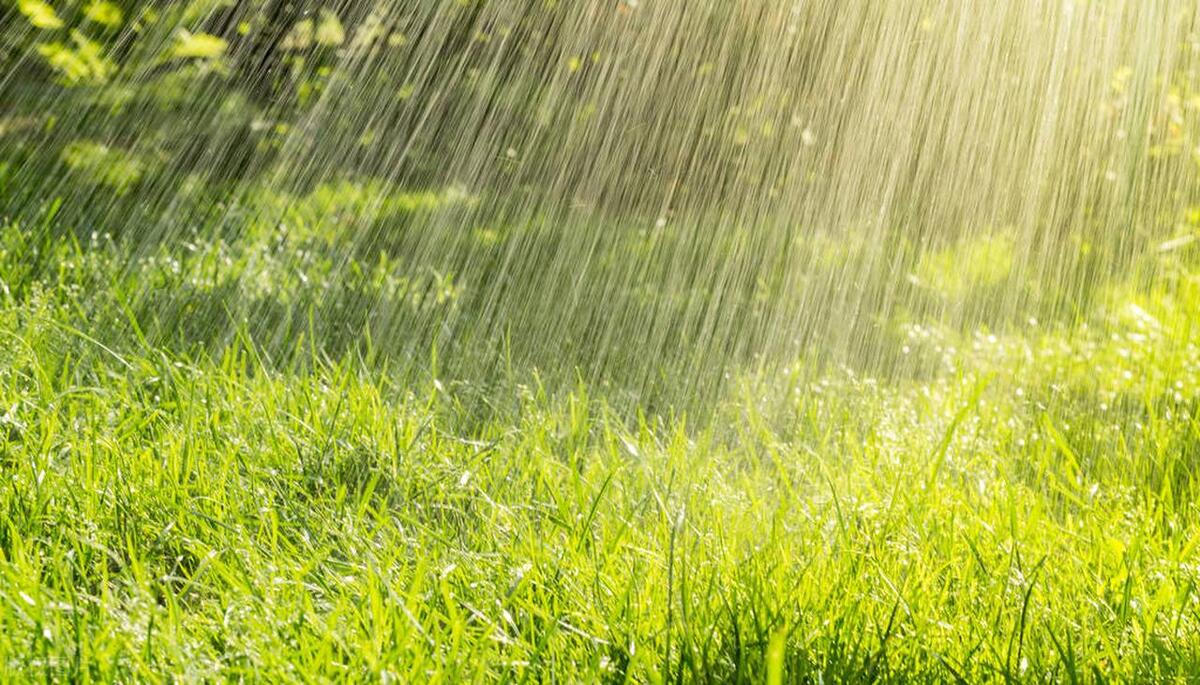 今天夏至，老人说“夏至逢端午，必定是荒年”，啥意思？有啥讲究-夏至与端午节先后顺序