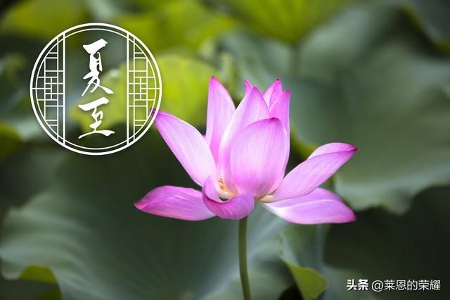 夏至，一年中最长的白天，古人是怎么发现的呢？-夏至是白天最长的一天