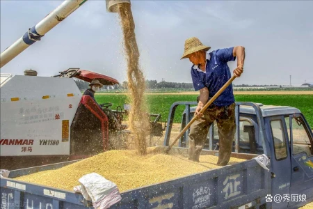 明日夏至，老祖宗留下的关于夏至的6句俗语，每一句都饱含智慧！-关于夏至的俗语谚语