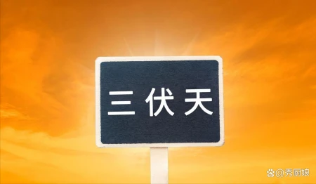 明日夏至，老祖宗留下的关于夏至的6句俗语，每一句都饱含智慧！-关于夏至的俗语谚语