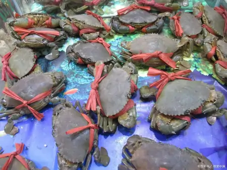 夏至吃三鲜，快乐似神仙，6月21日夏至，3鲜指啥？咋吃更受益-三鲜指的是什么叫三鲜