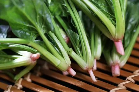 夏至吃三鲜，快乐似神仙，6月21日夏至，3鲜指啥？咋吃更受益-三鲜指的是什么叫三鲜