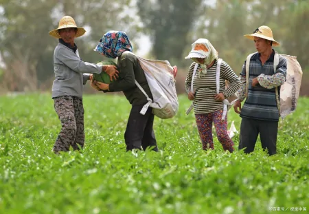 今年三伏天长达40天，什么时候入伏？三伏最新时间表来了！-今年的三伏天什么时候到