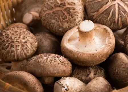 “夏至接端午，5样不上桌”，指的是哪5样？莫忘传统，安度端午-夏至不宜做的事