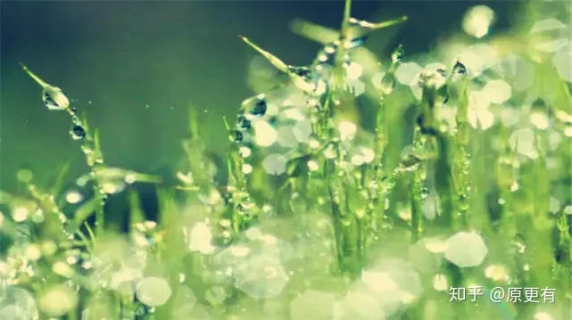 一年中最重要的8个节气之一！夏至的含义知多少？-夏至节气有哪些