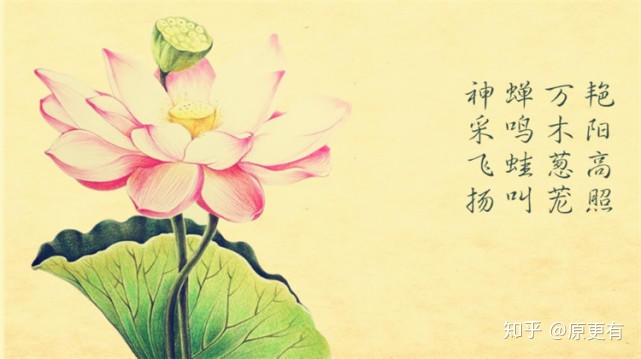 一年中最重要的8个节气之一！夏至的含义知多少？-夏至节气有哪些