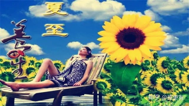 一年中最重要的8个节气之一！夏至的含义知多少？-夏至节气有哪些