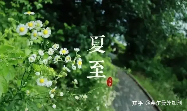 【八方格】关于夏至你了解多少？-八个小方格怎么画正方形