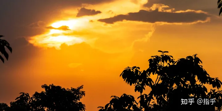 「节气」夏至已至，关于夏至的知识一定要了解！-夏至节气的简介
