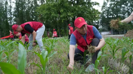 重温红色记忆 助力乡村振兴（重温红色记忆主题班会）