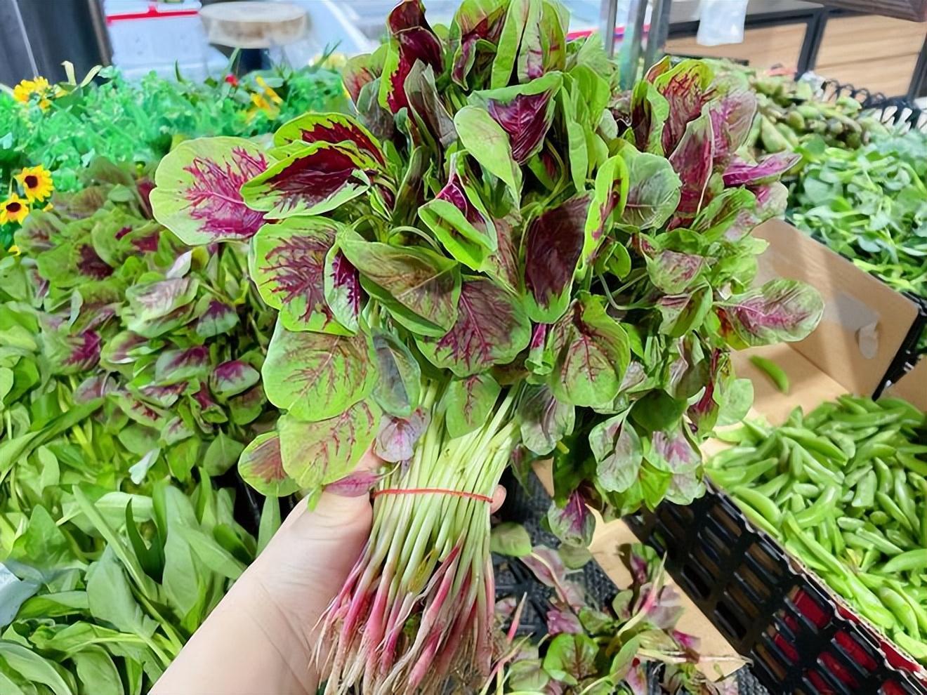 明日夏至，老传统要“补夏”，牢记吃这4样，顺应时节，少上火-夏季进补需要注意哪5点