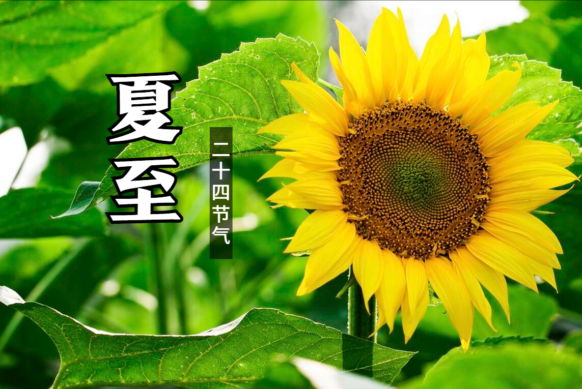 “夏至吃5宝，不往医院跑”，“5宝”指啥？明日夏至，别忘了吃！-夏至吃食