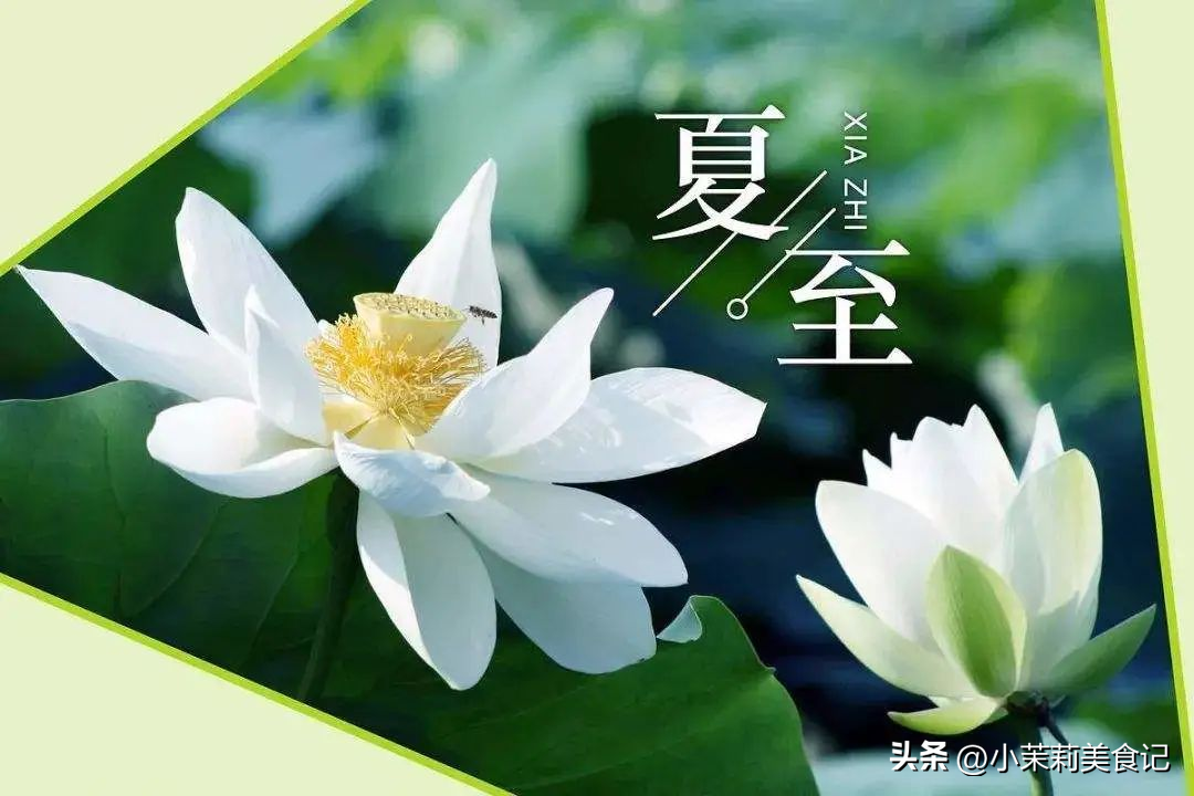 “夏至尝3鲜，一年无病沾”，明日夏至，水中“3鲜”正当季要懂吃-夏至开始