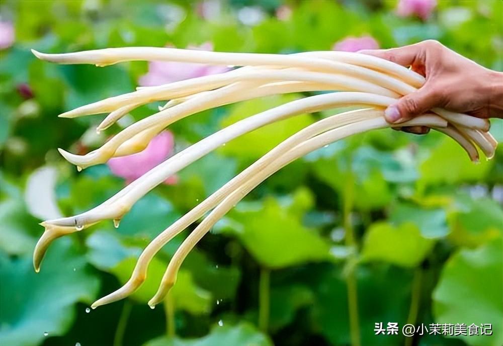 “夏至尝3鲜，一年无病沾”，明日夏至，水中“3鲜”正当季要懂吃-夏至开始