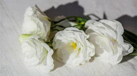 《只管去做》：为什么你的目标总是无法实现？（为什么目标不能实现）