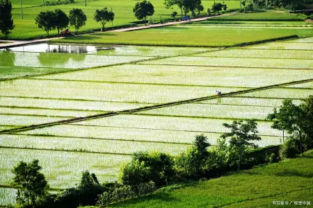 冬吃馄饨夏吃面，夏至可以试试有面的小火锅-火锅店用哪种火锅好