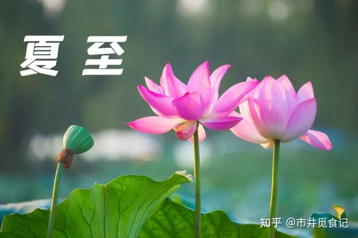 夏至吃什么食物必不可少？-夏至吃什么食物养生窍门