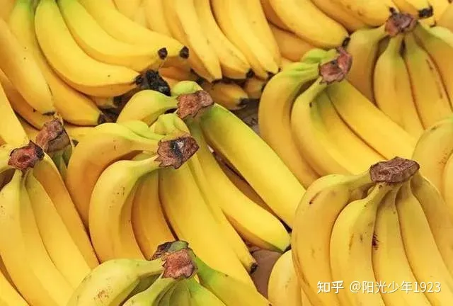 夏至“吃凉不吃寒”，少吃2种水果，多吃4种蔬菜，清爽解暑不上火-夏天能不能吃凉的