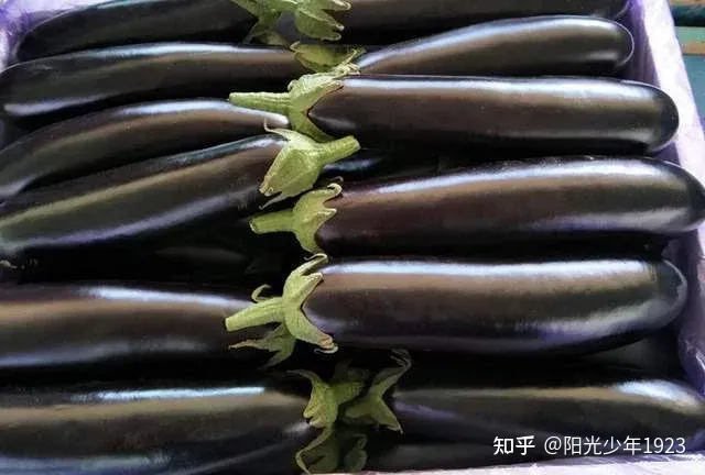 夏至“吃凉不吃寒”，少吃2种水果，多吃4种蔬菜，清爽解暑不上火-夏天能不能吃凉的