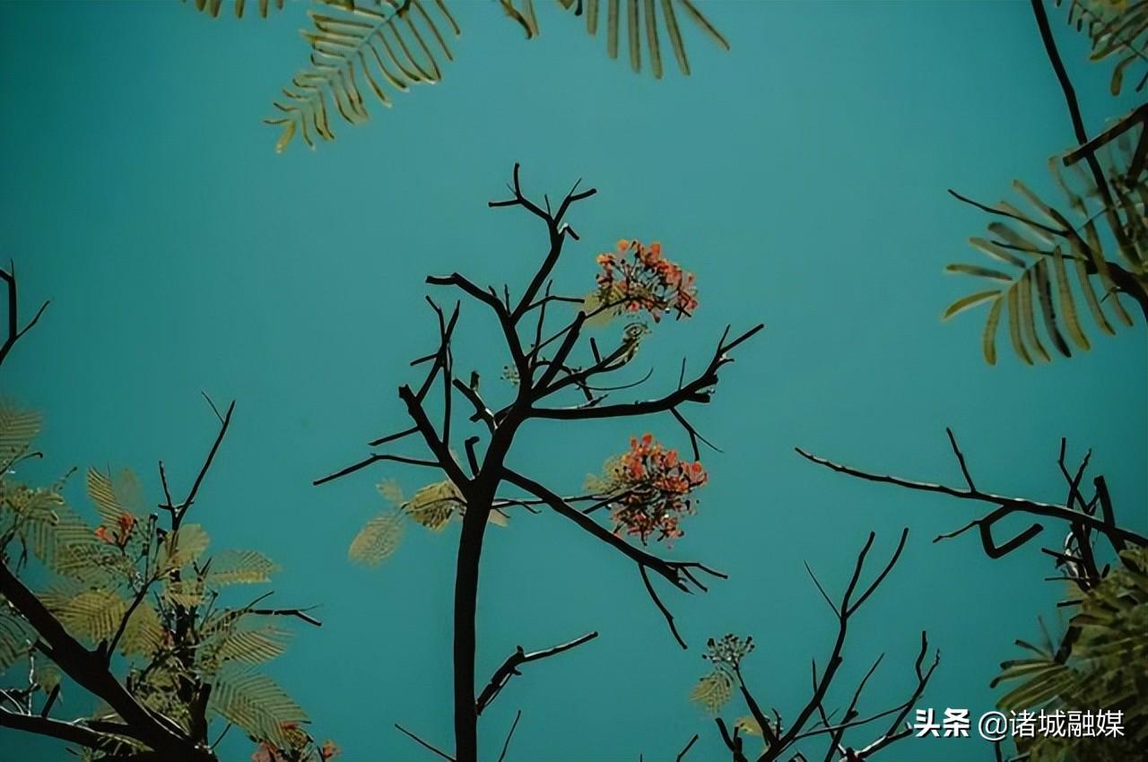 网络中国节·端午 | 10首关于端午节的诗词，你知道多少？-关于端午节的诗有哪些诗句三年级下册