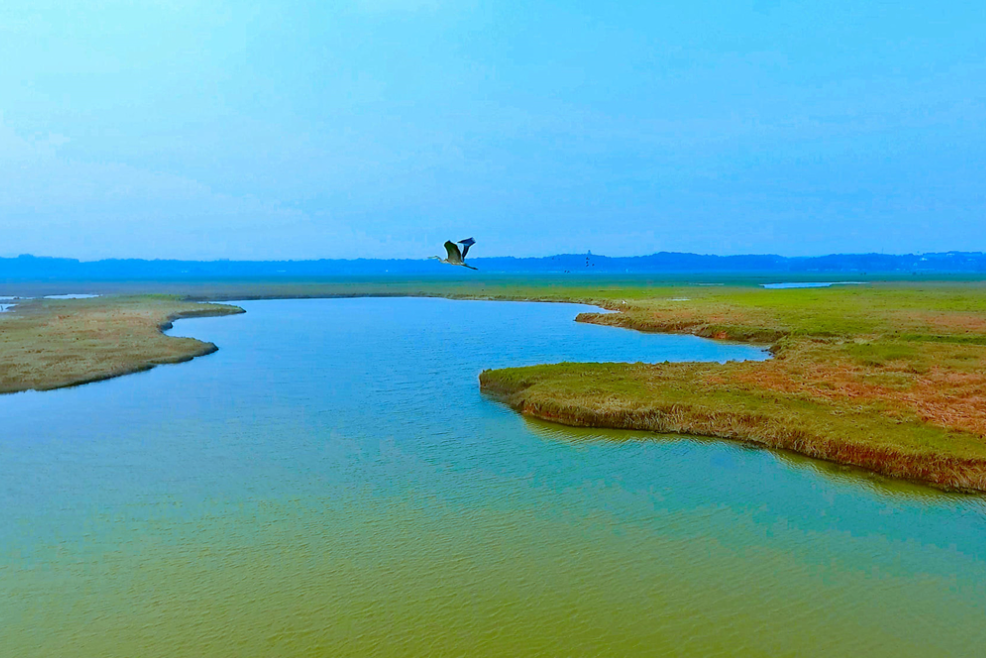 最经典的10首“端午节诗词”，苏轼、陆游和文天祥谁写得最好？-端午节最著名的诗词是哪一首