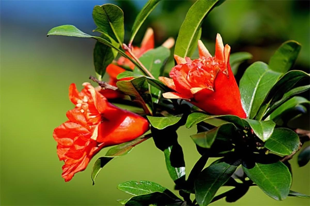 最经典的10首“端午节诗词”，苏轼、陆游和文天祥谁写得最好？-端午节最著名的诗词是哪一首