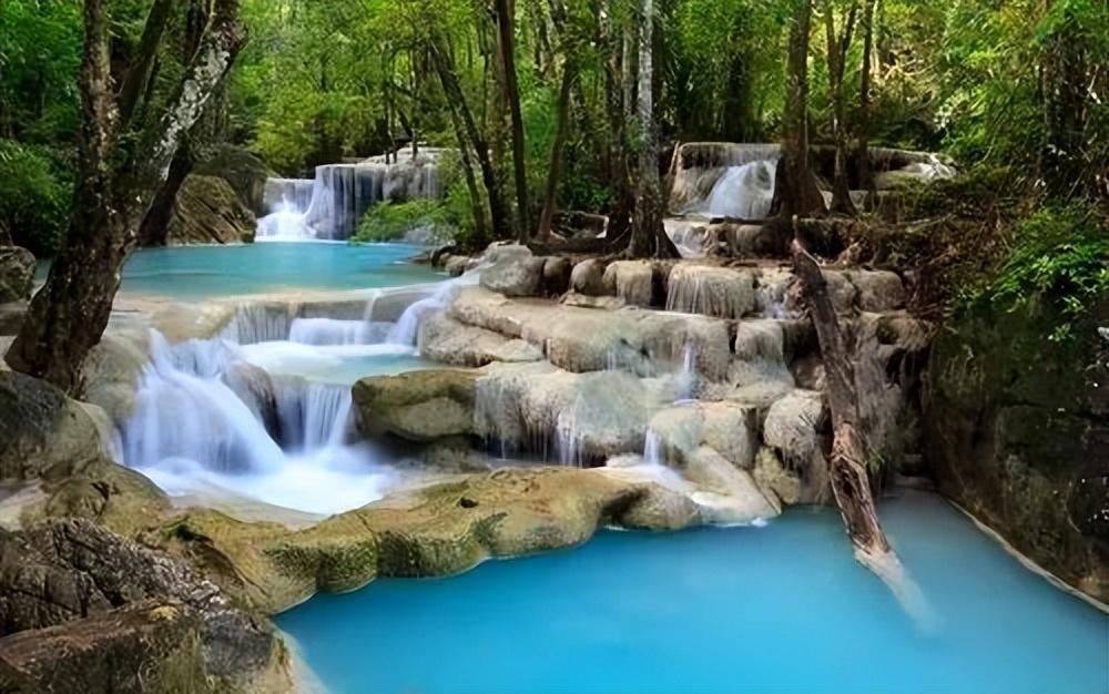 我的“自画像”（四年级语文下册第七单元作文范文第1-15篇）-四年级下册语文第七单元作文我的自画像男生450字