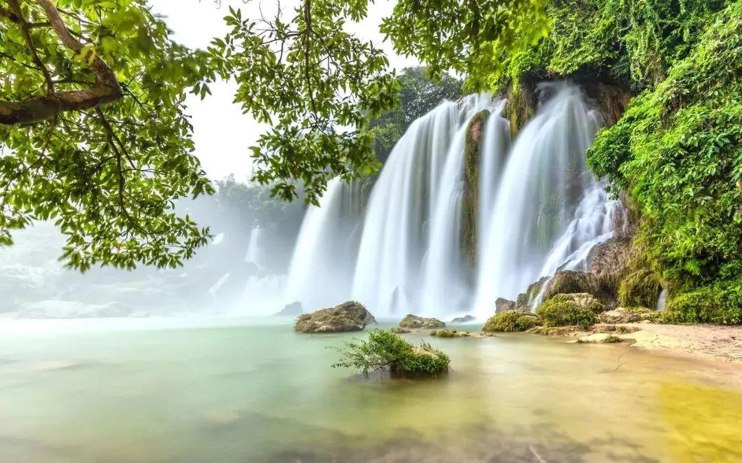 我的“自画像”（四年级语文下册第七单元作文范文第1-15篇）-四年级下册语文第七单元作文我的自画像男生450字