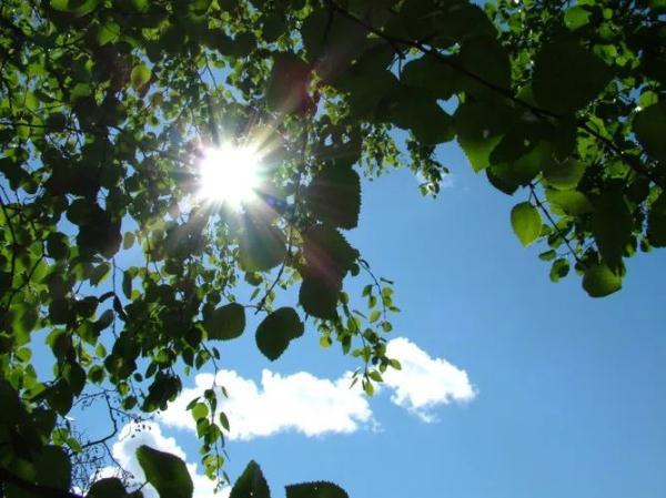 今日小满｜何为“小满”？蕴含哪些人生道理？这些知识讲给孩子听-《小满》