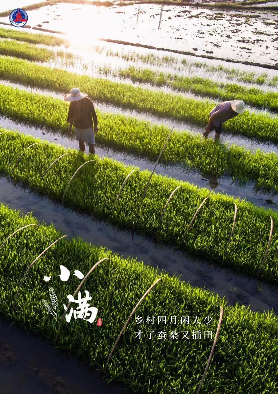 小满，将满未满——一个蕴含希望的节气-小满 啥意思