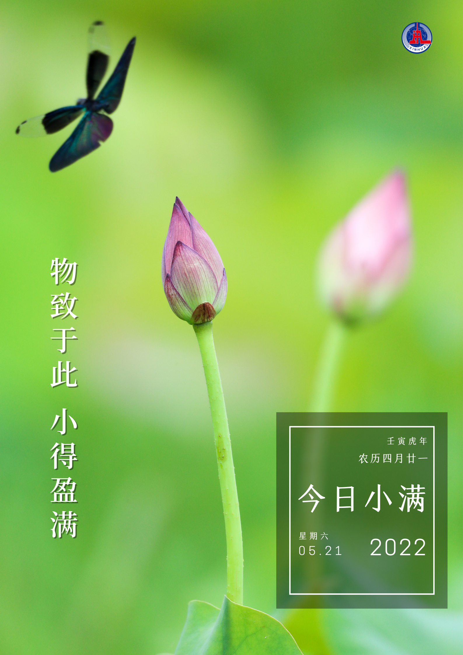 小满，将满未满——一个蕴含希望的节气-小满 啥意思