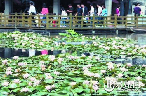 小满节气具体几月几日几时 2018小满图片小满是什么意思-小满在节气里是什么意思