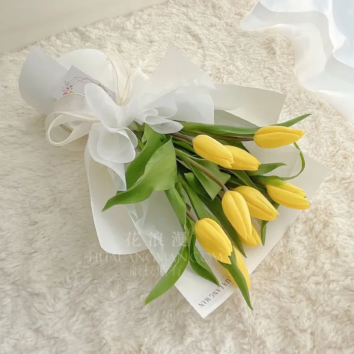 郁金香花语，5种颜色郁金香象征意义，郁金香适合送给谁？（郁金香的花语是?）