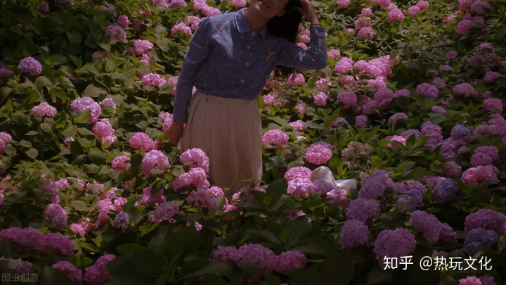 爱的花语之郁金香（郁金香花语寓意）