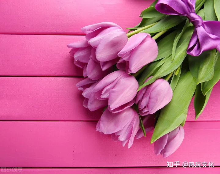 爱的花语之郁金香（郁金香花语寓意）